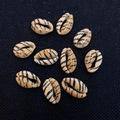 Natural tiger cowrie shell beads with brown stripes for DIY jewelry making set of nine - Tiger Stripe Texture (No.28) / 20 Pieces Set