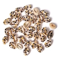 Detailed view of natural cowrie shell beads with golden plating for DIY jewelry making - Natural Leopard Spot Style (BK0008)