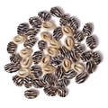 Natural cowrie shell beads with zebra pattern and creamy white finish for DIY jewelry - Black and White Zebra Pattern Style (BK0007)