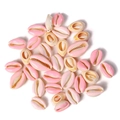 Pink and cream cowrie shell charms with gold edges for DIY necklaces and bracelets - Pink and White Two-Tone Style (BK0012)
