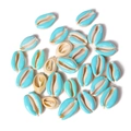 Natural light blue seashell charms with gold edges for DIY necklace and bracelet jewelry - Sky Blue Painted Style (BK0013)