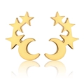 Goldene Mond und Stern Ohrstecker mit poliertem Finish aus Edelstahl für Damen - 14-Stern Mond