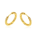 Polished gold titanium steel hoop earrings with textured hammered finish and secure clasp - 25mm / Gold Large