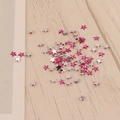 Détails macro de strass pour ongles en forme d'étoile 3mm rose fuchsia et argent - Rouge Rose Argent (13#)