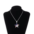 Cuban chain necklace with USA flag star pendant and eagle emblem for hiphop fashion - Silver Rope Chain With Pendant