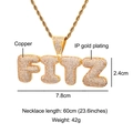 Hip hop FITZ letter pendant necklace in gold plated copper with pave zircon stones - Silver / FITZ Letter Style(N02841)