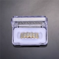 Hip hop gold plated 6-teeth grillz fully iced out with zircons in a clear storage box - Lower Grillz / Gold