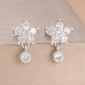 Close-up of silver star earrings with brilliant zircon stones on champagne background - Silver White Style (Y27213)