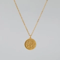 Collana dorata con ciondolo moneta a fiori in rilievo, accenti in cristallo e catena fine - Febbraio - Violetta / Oro