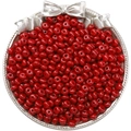 Leuchtend rote undurchsichtige Glasperlen für DIY-Schmuck und Bastelarbeiten Design - Stil 26 (10g/Packung)