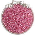 Pink faceted glass seed beads with AB iridescent coating in a silver metal tray - 4mm (10g/Pack, approx 150 Pieces) / Red