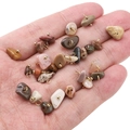 Mini pendentifs en pierre de cristal naturelle avec boucles dorées pour bijoux DIY - Environ 5-10mm (5 pièces/paquet) / Agate d'Alashan