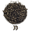 Acrylic French vintage black and gold wing beads for DIY jewelry and necklaces - Wing Style