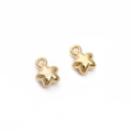 Paar gouden ster hangers met ringen voor DIY sieraden, halskettingen en armbanden - Bloem / Set van 30 / Goud