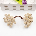 Bayas doradas escarchadas para coronas de Navidad DIY y decoración floral festiva - Juego de 20 Piezas / Dorado