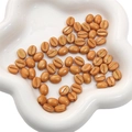 Goudbruine acryl kralen in koffieboonvorm voor DIY-sieraden maken en armbanden maken - Meloen Kraal / 8x10mm (Gat ca. 1mm, 20 Stuks/Verpakking) / Oranjerood