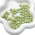 Lichtgroene koffieboon acrylkralen met goudlijn voor DIY handgemaakte sieraden - Meloen Kraal / 8x10mm (Gat ca. 1mm, 20 Stuks/Verpakking) / Groen