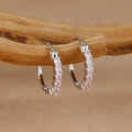 Primer plano de aretes de aro plateados con cristales rosas sobre una rama de madera - Rosa Plateado