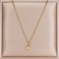 Detailaufnahme der Herz-Halskette mit rosa Zirkon-Anhänger in einer Geschenkbox - Champagnerfarbenes Edelstein-Modell (N51030 Gold-Champagner)