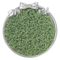 Macro shot of light green translucent seed beads for DIY jewelry making in a silver tray - 10g/Pack (Approx. 300 pcs) / Emerald Green