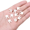 Cuentas de concha natural blanca en forma de conejo para la creación de joyas y pulseras - Apertura Aprox. 0,5 mm Blanco / Cabeza de Conejo (Agujero Horizontal)