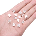 Cuentas de nácar en forma de conejo blanco para joyería hecha a mano - Apertura Aprox. 0,5 mm Blanco / Cabeza de Conejo (Agujero Vertical)