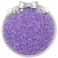2.5mm iridescent purple glass seed beads for DIY jewelry making in a silver tray - 10g/Pack Approx 700 Pcs / Lilac Purple