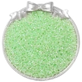 Light green 2.5mm iridescent glass seed beads for DIY jewelry making in a silver tray - 10g/Pack Approx 700 Pcs / Grass Green