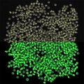 DIY glowing glass seed beads in pale yellow that emit a bright green light in the dark - 2mm/10g / Yellow-Green
