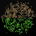 Luminous core beads for DIY jewelry in daylight and green glow-in-the-dark view - Orange Yellow