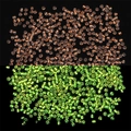 DIY glowing seed beads with colored core in soft orange and bright luminous effect - Orange Red