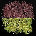 Pale pink glow-in-the-dark glass seed beads showing luminous yellow-green effect - Red