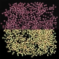Luminous glass seed beads in transparent pink and yellow for DIY jewelry crafting - Pink