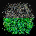Luminous glass seed beads in assorted colors showing natural light and glow-in-the-dark effects - Random Mixed Colors