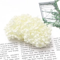 Pistils de fleurs artificielles beiges en grappe pour le bricolage et la création d'accessoires - Cœur Floral / 10 Pièces/Paquet (Longueur 75mm) / Poche zippée