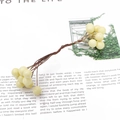 Tiges de baies artificielles beige pour DIY floral avec baies mates à double tête - Baies à Deux Têtes / 10 Pièces/Paquet (10mm/Longueur 130mm) / Poche zippée
