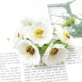 Bouquet de marguerites artificielles blanches avec pistils jaunes pour décorations DIY - Marguerite / 6 Pièces/Paquet (Longueur 110mm) / Poche zippée