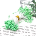 Pale green teardrop-shaped double-headed artificial flower stamens for DIY handmade crafts - Pearlescent Flower Stamens / 3mm x 60mm (90 Pcs/Pack) / Green