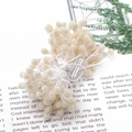 Étamine de fleur artificielle beige mat en bouquet pour accessoires floraux DIY - Grandes Étamines de Fleurs Sucre Givré / Env. 50-70 Pièces/Paquet (5mm/Longueur 60mm) / Poche zippée