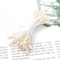 90 paquets de étamines de fleurs blanc cassé 1mm à double tête pour artisanat DIY - Pistil de Fleur Tête Ronde Mate / Env. 120-144 Pièces/Paquet (2mm/Longueur 60mm) / Poche zippée