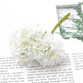 White chiffon flower buds with green stems for DIY handmade floral crafts and accessories - Artificial Flower / 6 Pieces/Pack (115mm Length)