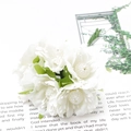 Artificial white chiffon flower bouquet with matte stamen for DIY floral arrangements - Artificial Flower / 6 Pieces/Pack (100mm Length)