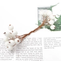 Artificial white frosted berries with flexible brown wire stems for DIY floral crafts - Double Side Berry / 10 Pieces/Pack (12mmx130mm)