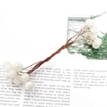 Two bundles of white artificial berries with brown stems for DIY handmade crafts - Double Side Berry / 10 Pieces/Pack (10mmx130mm)