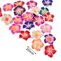 Mélange de perles fleurs frangipanier 20mm en argile pour création de bijoux et boucles - 20mm (10 Pièces/Paquet) / Couleurs Mélangées Aléatoires