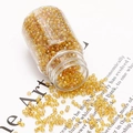 Golden amber 2mm glass seed beads with aurora luster for DIY jewelry making - 1 Bottle 30g Net Weight 37g/Bottle 3000pcs / Golden AB Electroplated