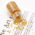 Amber gold 2mm glass seed beads in clear plastic bottle for DIY jewelry making - 1 Bottle 30g Net Weight 37g/Bottle 3000pcs / Golden Yellow Silver-lined