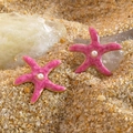 Orecchini a stella marina rosa con perla e bordi dorati su sfondo di sabbia - Stella Marina Rosa (FYD6222EH-pink)