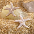 Dettaglio di orecchini a stella marina con smalto rosa e perla centrale sulla sabbia - Stella Marina Bianca (FYD6222EH-white)
