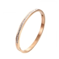 Minimalist 18K rose gold plated titanium steel bangle with sparkling zircon stones - Single Row Stone Rose Gold